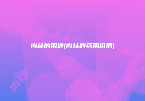 肉桂的用途(肉桂的药用价值)