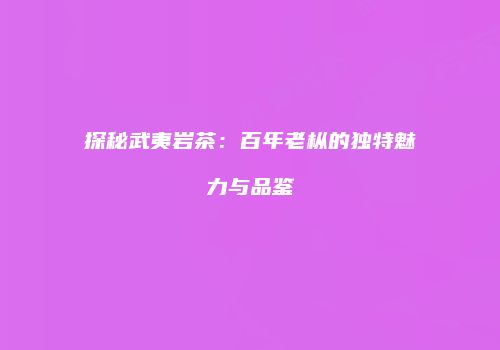 探秘武夷岩茶：百年老枞的独特魅力与品鉴