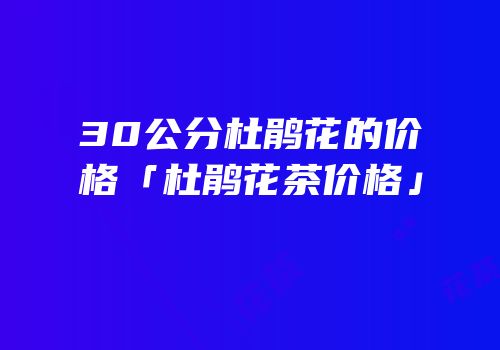 30公分杜鹃花的价格「杜鹃花茶价格」