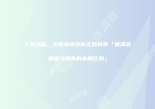 了解这些，才能挑选到真正的好茶「普洱茶晒青与烘青的本质区别」