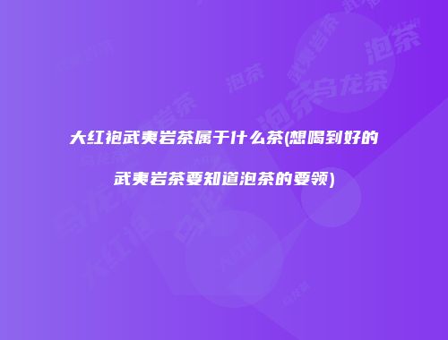 大红袍武夷岩茶属于什么茶(想喝到好的武夷岩茶要知道泡茶的要领)