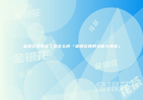 金银花露喝多了会怎么样「金银花露的功能与禁忌」