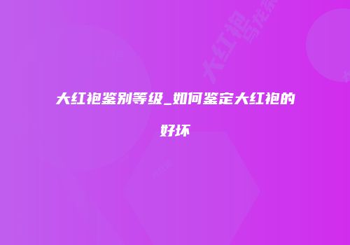 大红袍鉴别等级_如何鉴定大红袍的好坏
