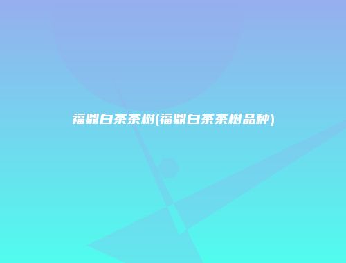 福鼎白茶茶树(福鼎白茶茶树品种)