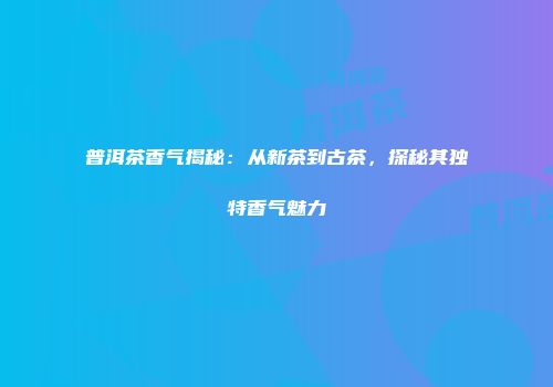 普洱茶香气揭秘：从新茶到古茶，探秘其独特香气魅力