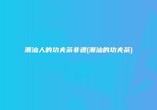 潮汕人的功夫茶非遗(潮汕的功夫茶)