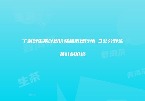 了解野生茶叶树价格和市场行情_3公分野生茶叶树价格