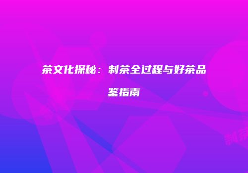 茶文化探秘：制茶全过程与好茶品鉴指南