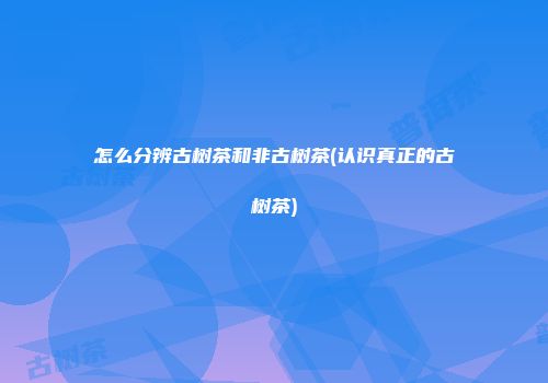 怎么分辨古树茶和非古树茶(认识真正的古树茶)