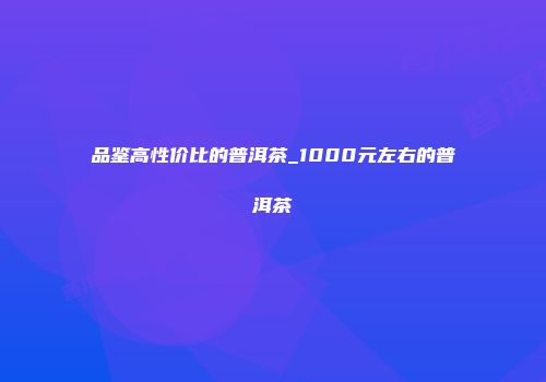 品鉴高性价比的普洱茶_1000元左右的普洱茶