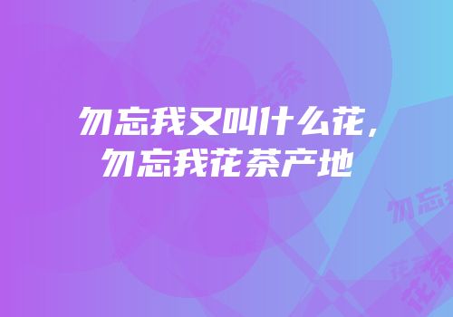 勿忘我又叫什么花,勿忘我花茶产地