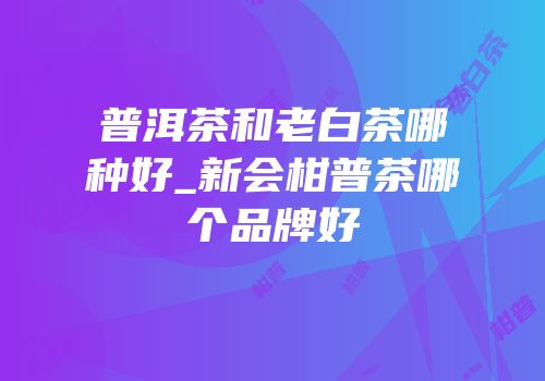 普洱茶和老白茶哪种好_新会柑普茶哪个品牌好