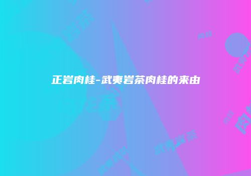 正岩肉桂-武夷岩茶肉桂的来由