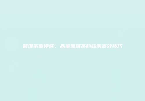 普洱茶审评杯：品鉴普洱茶韵味的高效技巧