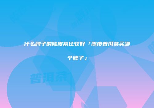 什么牌子的陈皮茶比较好「陈皮普洱茶买哪个牌子」