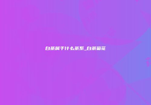 白茶属于什么茶系_白茶菊花