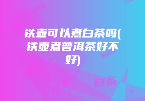 铁壶可以煮白茶吗(铁壶煮普洱茶好不好)