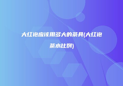 大红袍应该用多大的茶具(大红袍茶水比例)