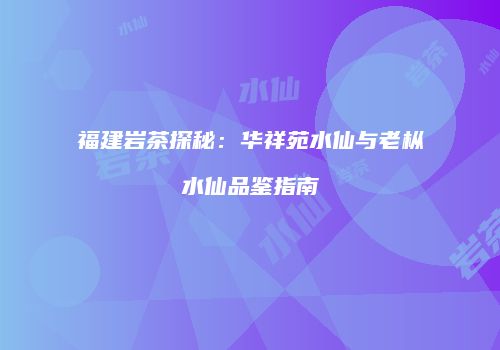 福建岩茶探秘：华祥苑水仙与老枞水仙品鉴指南