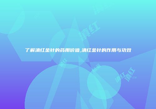 了解滇红金针的药用价值,滇红金针的作用与功效