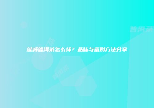 雄峰普洱茶怎么样？品味与鉴别方法分享
