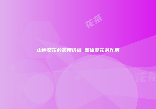 山锦葵花的药用价值_蓝锦葵花茶作用