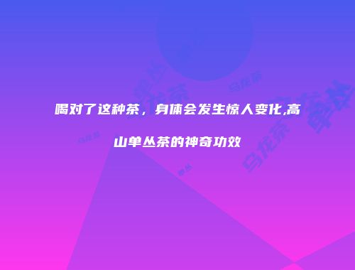 喝对了这种茶，身体会发生惊人变化,高山单丛茶的神奇功效