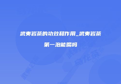 武夷岩茶的功效和作用_武夷岩茶第一泡能喝吗
