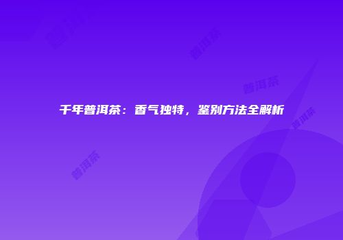 千年普洱茶：香气独特，鉴别方法全解析