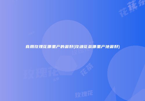 食用玫瑰花哪里产的最好(玫魂花茶哪里产地最好)