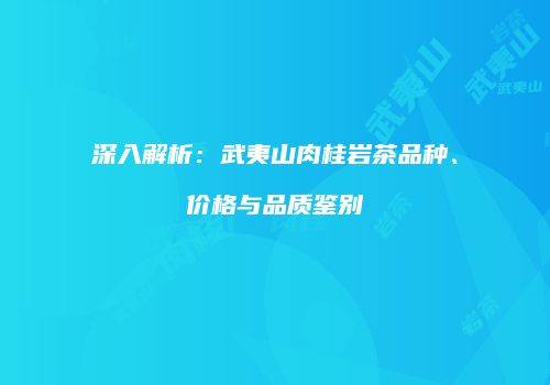 深入解析：武夷山肉桂岩茶品种、价格与品质鉴别