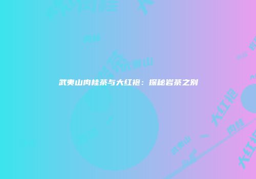 武夷山肉桂茶与大红袍：探秘岩茶之别