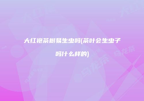 大红袍茶树易生虫吗(茶叶会生虫子吗什么样的)