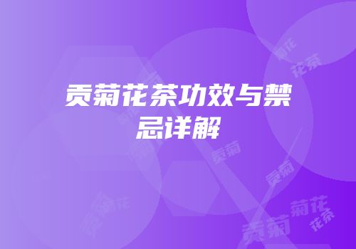 贡菊花茶功效与禁忌详解