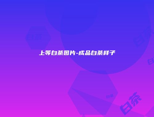 上等白茶图片-成品白茶样子