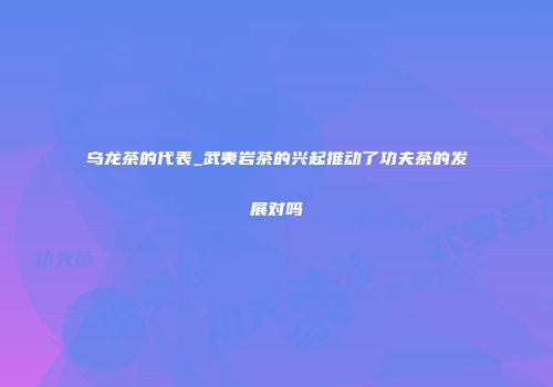 乌龙茶的代表_武夷岩茶的兴起推动了功夫茶的发展对吗