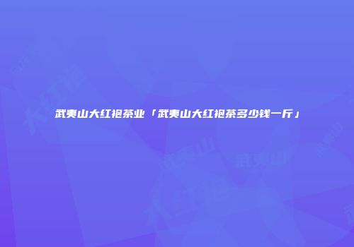 武夷山大红袍茶业「武夷山大红袍茶多少钱一斤」