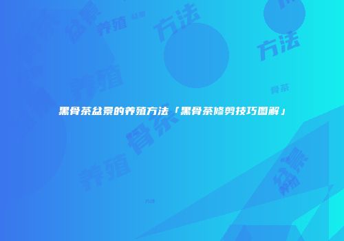 黑骨茶盆景的养殖方法「黑骨茶修剪技巧图解」