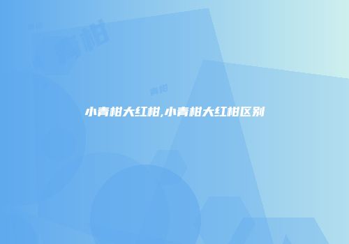 小青柑大红柑,小青柑大红柑区别