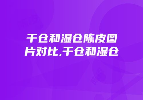 干仓和湿仓陈皮图片对比,干仓和湿仓