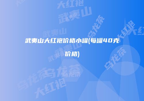 武夷山大红袍价格小罐(每罐40克价格)