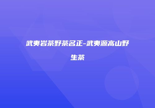 武夷岩茶野茶名正-武夷源高山野生茶