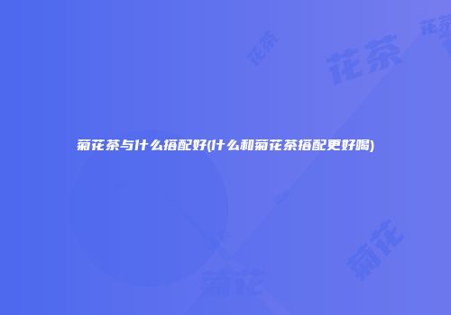 菊花茶与什么搭配好(什么和菊花茶搭配更好喝)