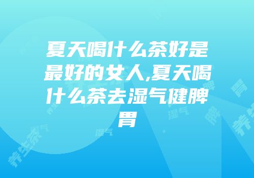 夏天喝什么茶好是最好的女人,夏天喝什么茶去湿气健脾胃