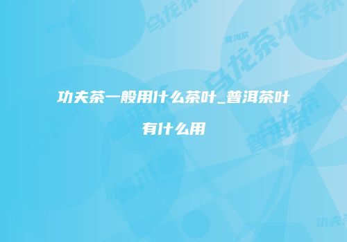 功夫茶一般用什么茶叶_普洱茶叶有什么用
