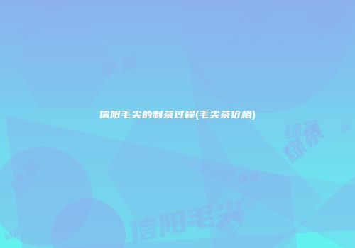 信阳毛尖的制茶过程(毛尖茶价格)