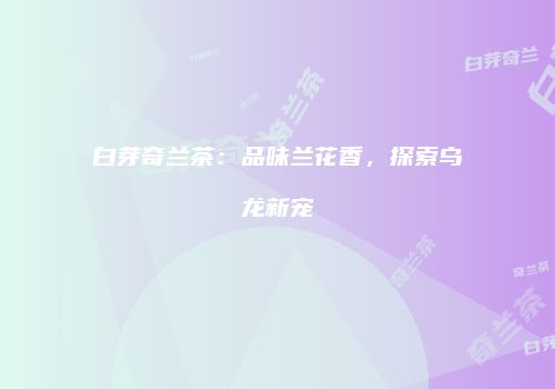 白芽奇兰茶：品味兰花香，探索乌龙新宠