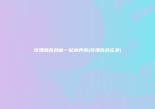 玫瑰和百合能一起水养吗(玫瑰百合花茶)