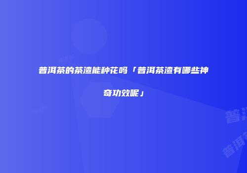 普洱茶的茶渣能种花吗「普洱茶渣有哪些神奇功效呢」