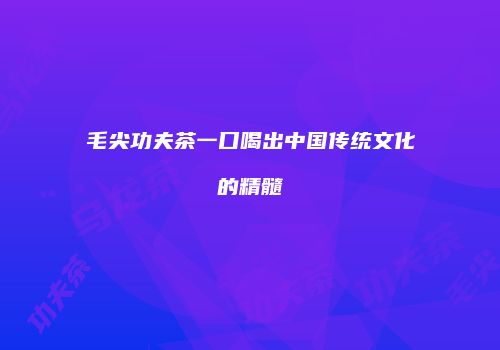 毛尖功夫茶一口喝出中国传统文化的精髓